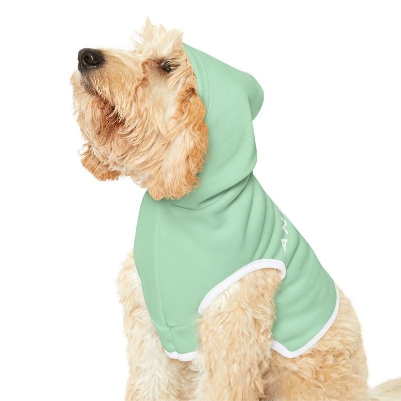 IJTT Pet Hoodie: AT Slash White | Mint