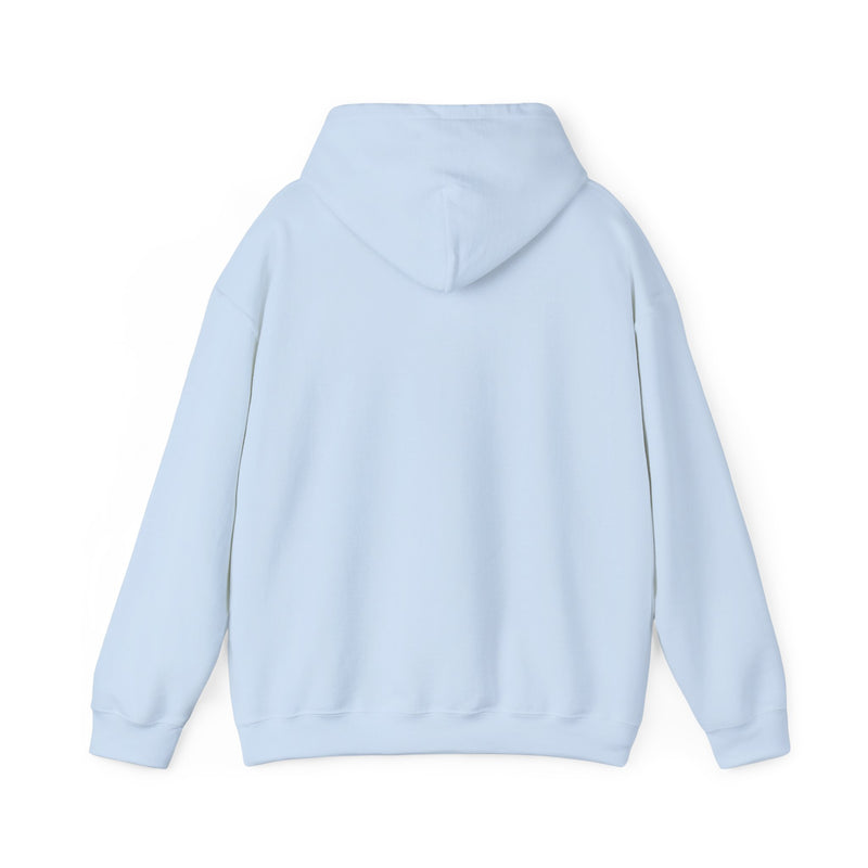 TGWTN Unisex Hoodie: Black/White | Light Blue