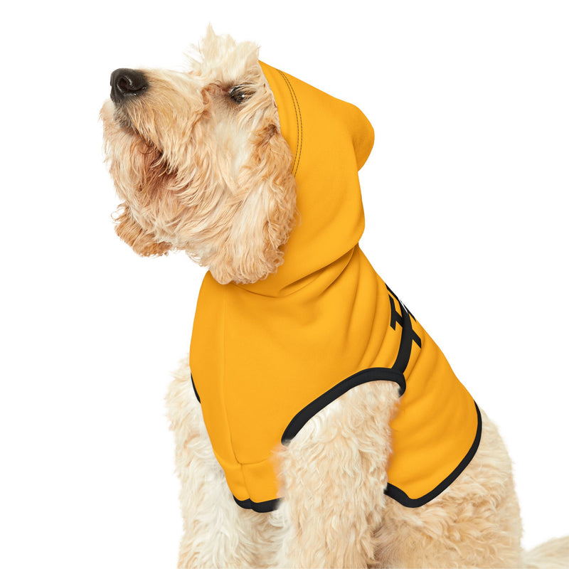 IJTT Pet Hoodie: AT Strike Black | Gold