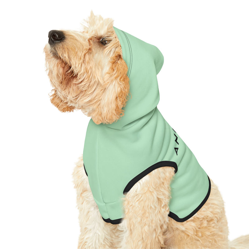 IJTT Pet Hoodie: AT Slash Black | Mint