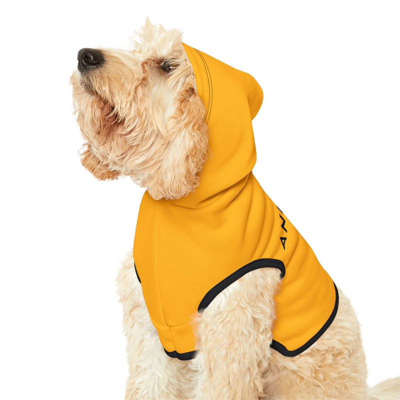 IJTT Pet Hoodie: AT Slash Black | Gold