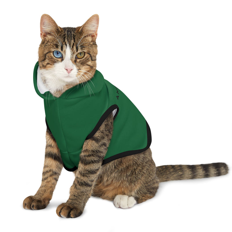 IJTT Pet Hoodie: AT Slash Black | Kelly Green