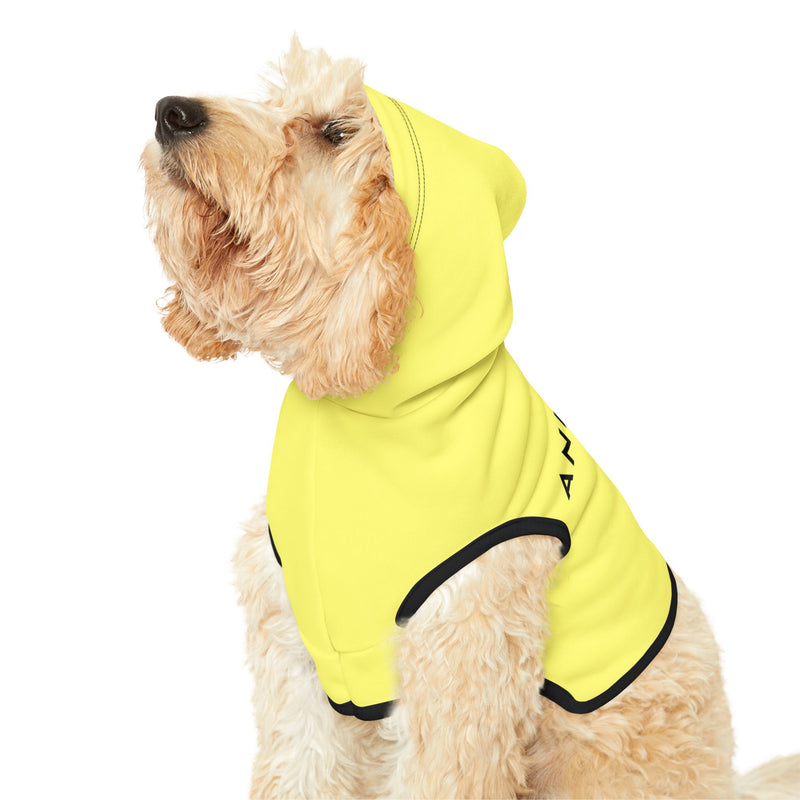 IJTT Pet Hoodie: AT Slash Black | Yellow