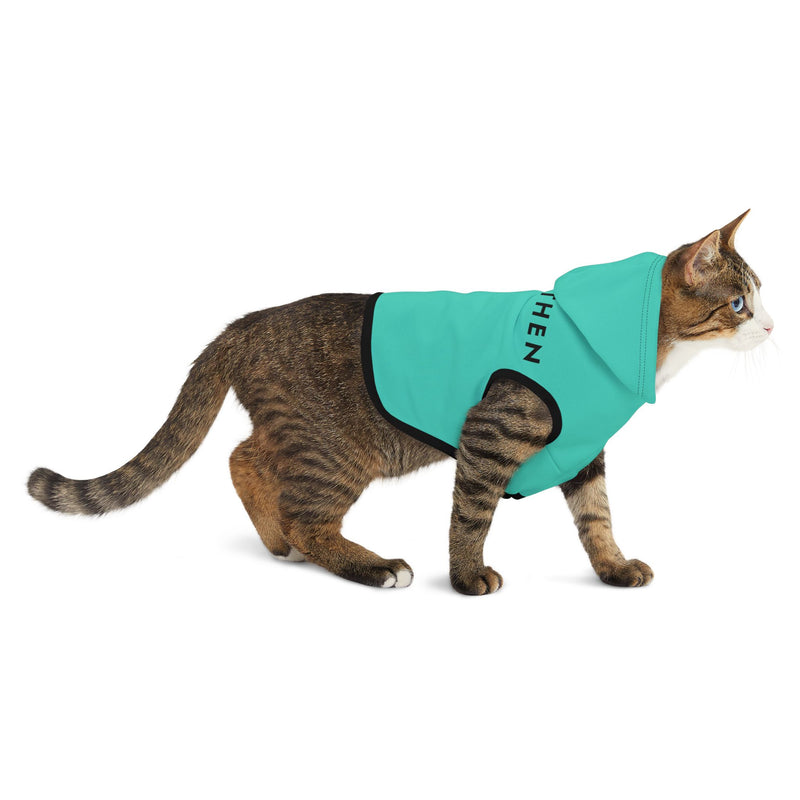 IJTT Pet Hoodie: AT Slash Black | Teal