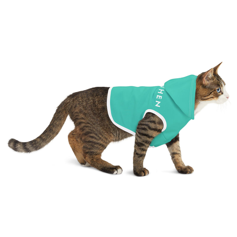 IJTT Pet Hoodie: AT Slash White | Teal