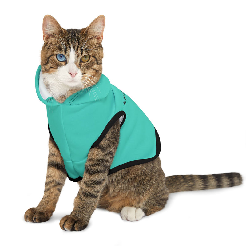 IJTT Pet Hoodie: AT Slash Black | Teal