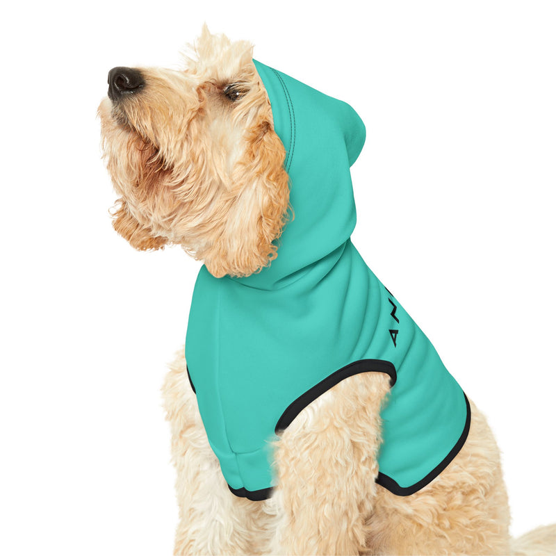 IJTT Pet Hoodie: AT Slash Black | Teal