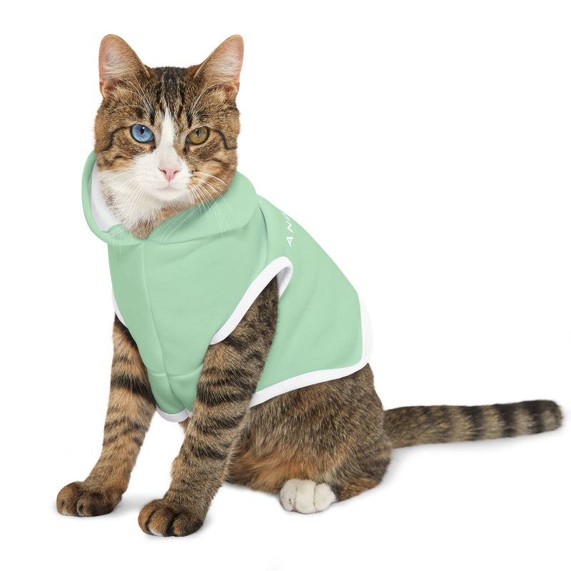 IJTT Pet Hoodie: AT Slash White | Mint