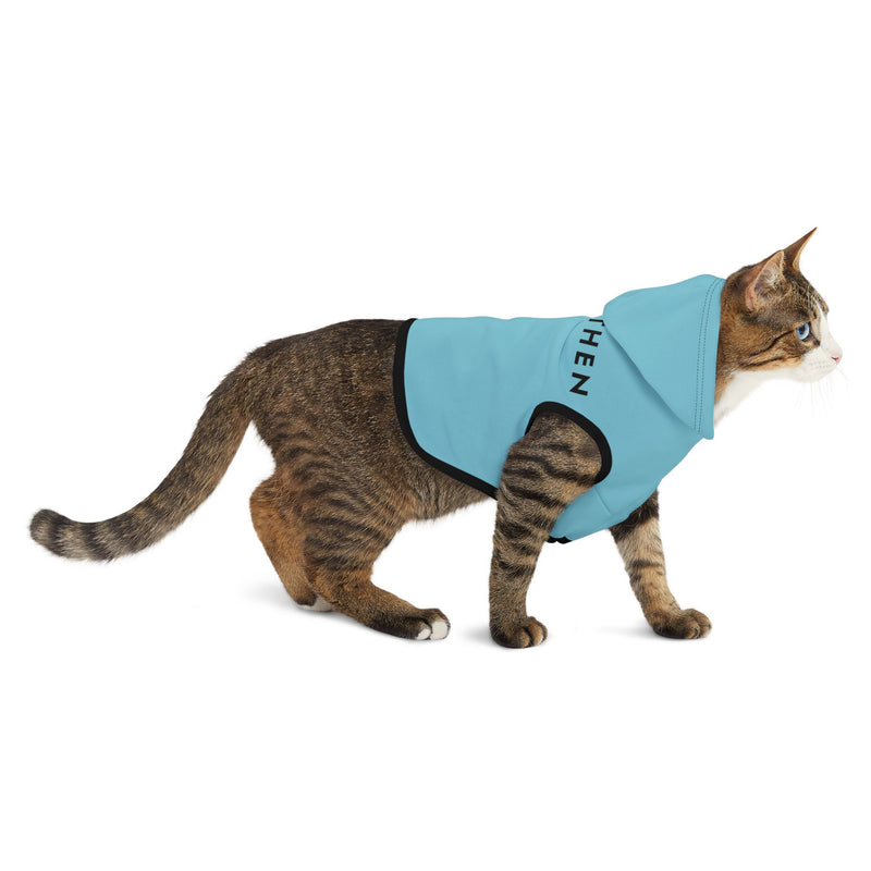 IJTT Pet Hoodie: AT Slash Black | Turquoise