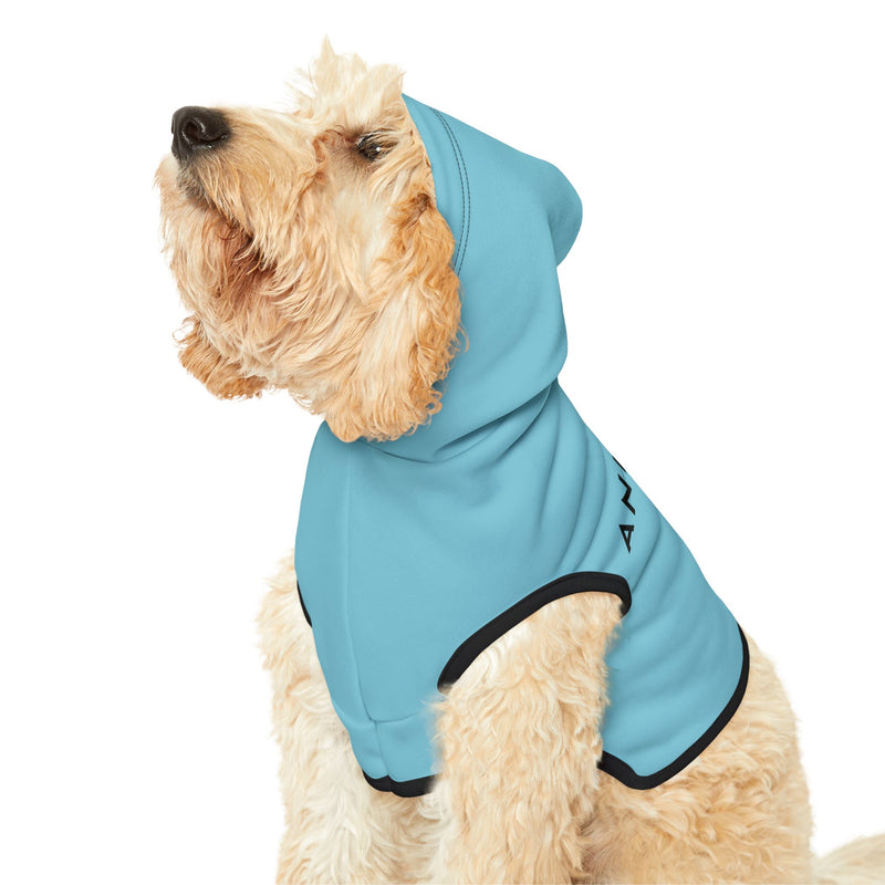 IJTT Pet Hoodie: AT Slash Black | Turquoise